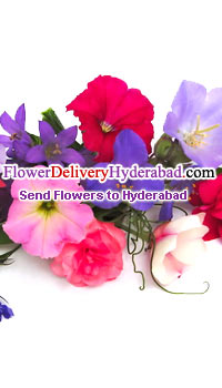 Beautiful creations of nature for your beautiful terms  