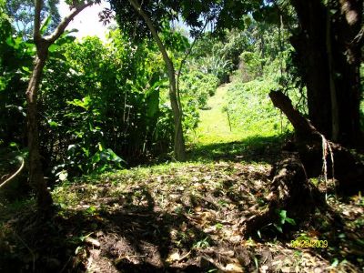 Bocas del Torro Panama 18 Acres waterfront Titled land For Sale