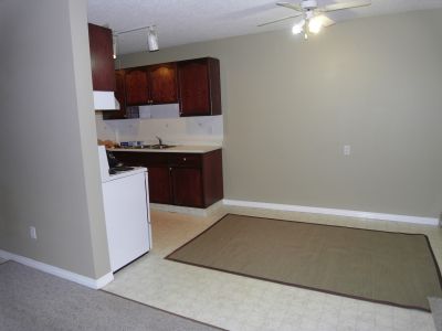 Large TWO Bdr renovated Condo walk to Grant Mac/ bus LRT to the U of A