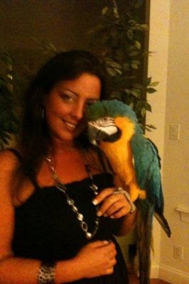 Blue and Gold  beauty female Macaw ready to meet you.