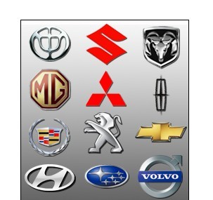 SN8 car remote control blocker