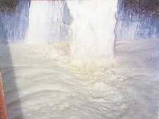 Natural Latex Liquid