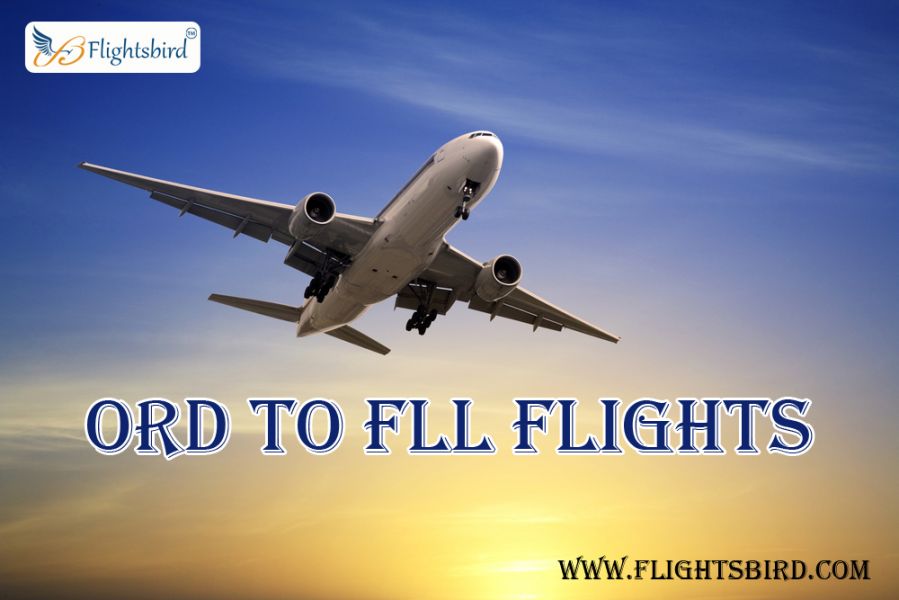 Compare and Search for Chicago to FLL Flights at Flightsbird