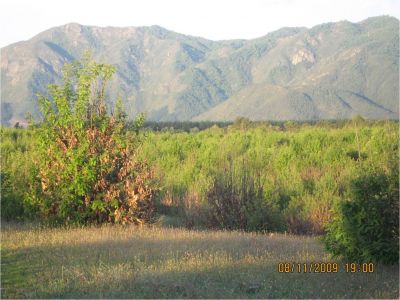 I SELL BEAUTIFUL PROPERTIES IN CHILE (lots)