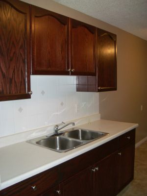Large TWO Bdr renovated Condo walk to Grant Mac/ bus LRT to the U of A