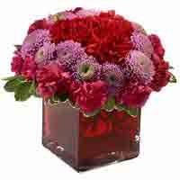 Cash on the sizzling celebrations with exciting gift items