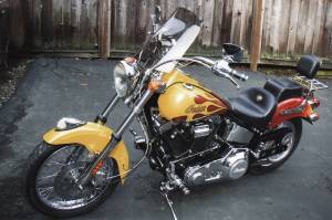 2001 Indian Scout Centenial Edition Bike