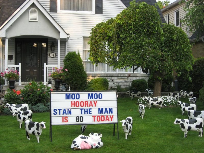 Flamingo lawn decorations, birthday, anniversary... Toronto