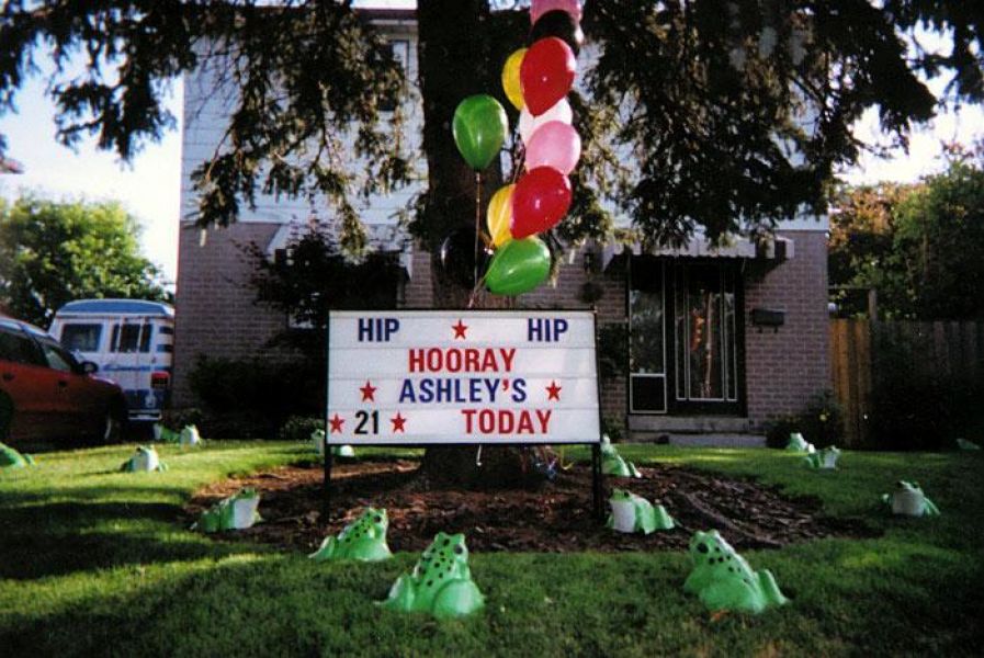 Flamingo lawn decorations, birthday, anniversary... Toronto