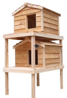 Outdoor Cedar Houses for Cats and Kittens
