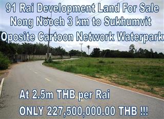 Pattaya Land for sale 91 Rai 