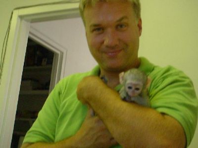 playful baby capuchin monkeys looking for a caring home to go