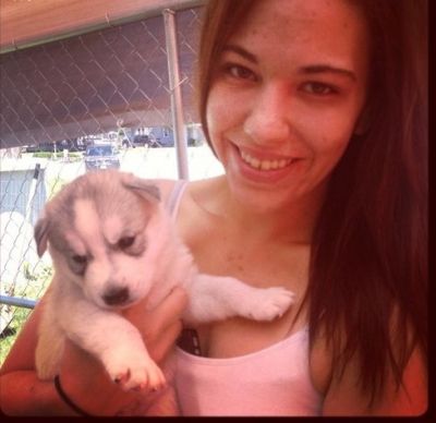 SYBERIAN HUSKY PUPPIES FOR SALE