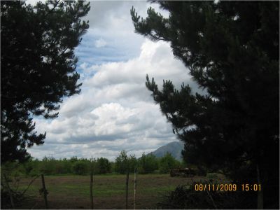 I SELL BEAUTIFUL PROPERTIES IN CHILE (lots)