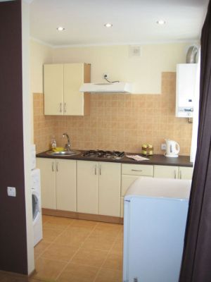 Stylish apartment flat for daily rent in the center of Lugansk Ukraine 
