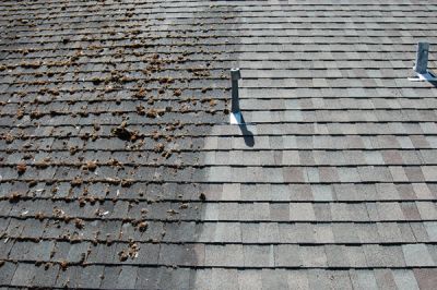 Moss on your roof? We can clean that off.