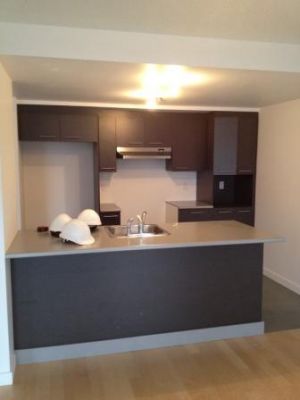NEW CONDO - 3-BDRS + ALCOVE - 1,500 SQ FT*HARDWOOD*A/C*W/D OUTLETS*INDOOR PARKING 