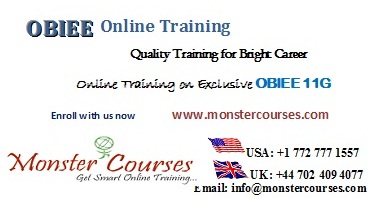 OBIEE Online Training by experts @ Monstercourses