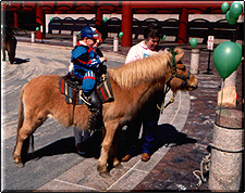 Clowns, Magicians & More - Your One Stop Party Shop (204) 663-1000