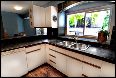 Altadore River Park House for Sale: 4001 17 ST SW Calgary - Price REDUCED!