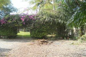 Pattaya 3 Homes plus Pool on 2560 sqm Land