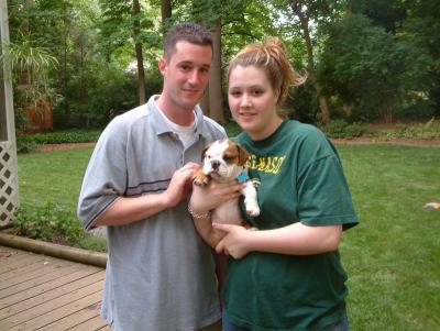 AKC English Bulldog Puppies~Ready  for Christmas and new year