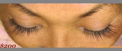  EYELASH EXTENSION TRAINING: FREE