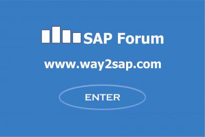 SAP Installation in UK and Europe | SAP Installation in London