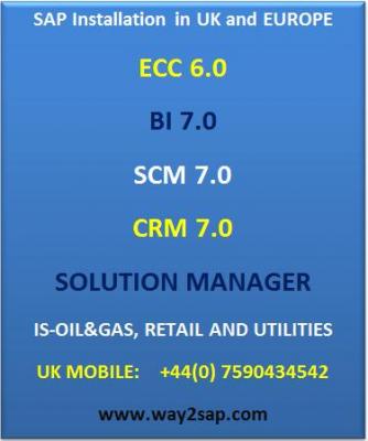 SAP Installation, SAP BI Installation and SAP CRM Installation