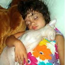 HAIRLESS Don Sphynx and Peterbald KITTENS