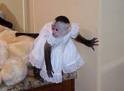 KID-FRIENDLY PET CAPUCHIN MONKEY FOR ADOPTION