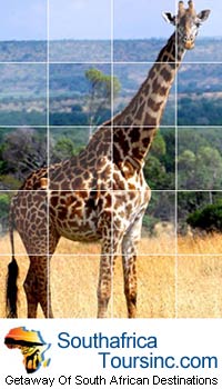 Where scenic beauty met the jungle wildness