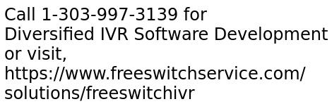 Diversified IVR Software Development