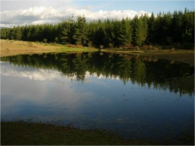 I SELL BEAUTIFUL PROPERTIES IN CHILE (lots)