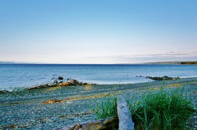 Unique Opportunity! Guest Home? B&B? Home Business?