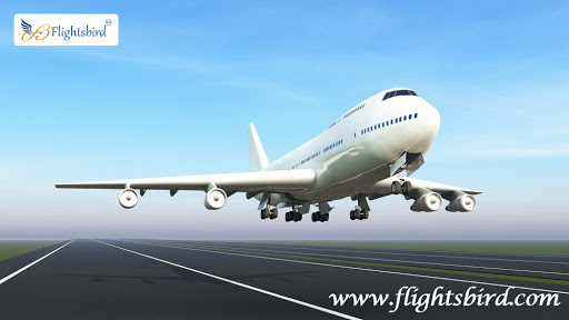 How to book a cheap flight from Raleign Durham to Orlando online?