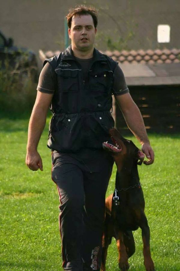 Dobermann - excellent puppies