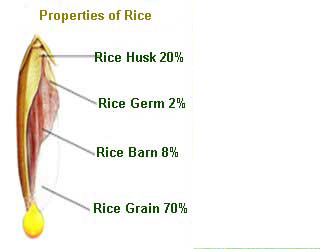 Rice Barn & Germ Oil Capsules