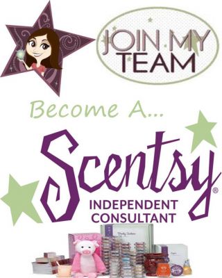 Have a Great Smelling Home All day Everyday!