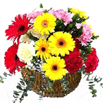 Fascinating flower festivity at your mouse tips