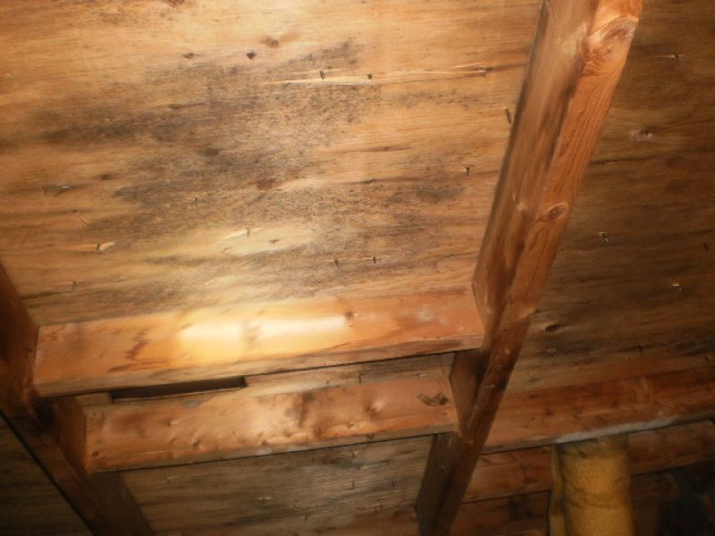 Certified Mold Inspections