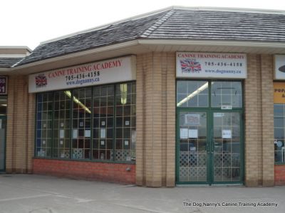 The Dog Nanny's Canine Training Academy