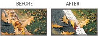 Does your roof have black spots or streaks? 