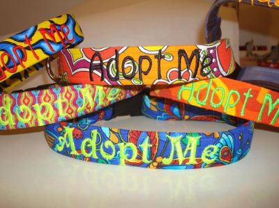 Unique Dog Collars