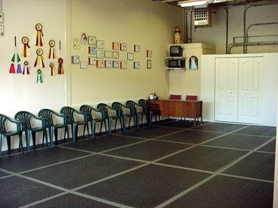 Puppy and Adult Dog Training Classes