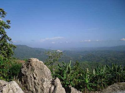 Jamaican Eco Farm, House & Land For Sale