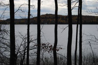 LARGE LAKEFRONT LOTS ON UNCROWDED LAKE