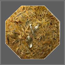 Tom Forrestall Canada's Premier Artist