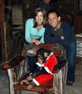 Adorable baby chimpanzee for sale