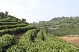 GRAND PLAZA BUSINESS CLASS HOTEL